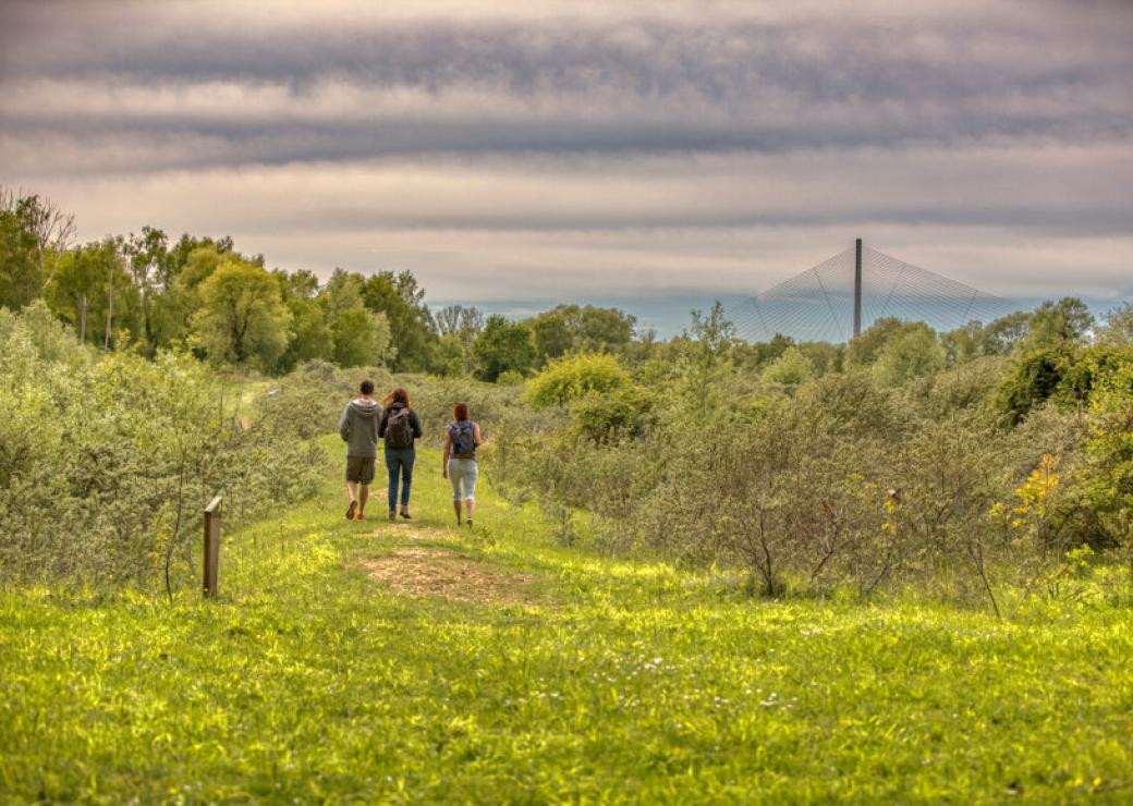 Trois personnes marchent sur un chemin dans la campagne, ciel couvert de beaux nuages