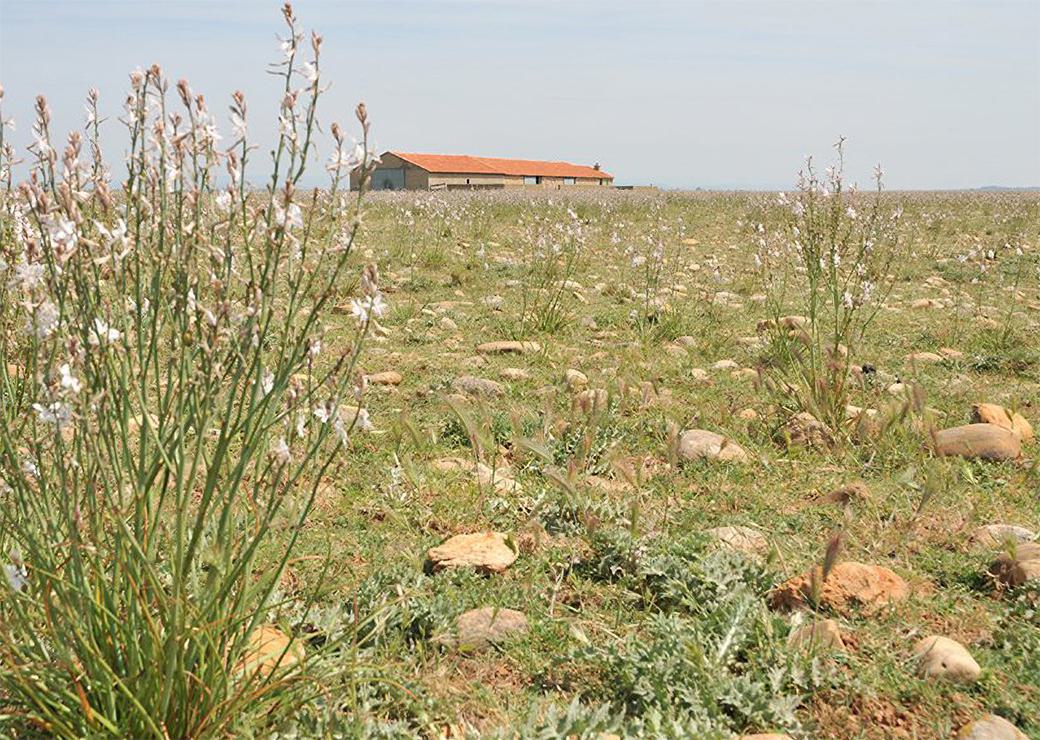 site naturel de compensation 