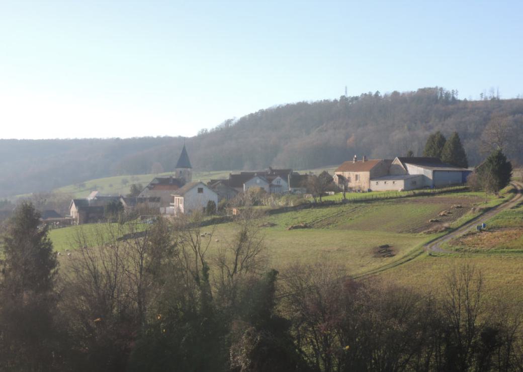 Paysage rural en hiver, champs, clocher, colline