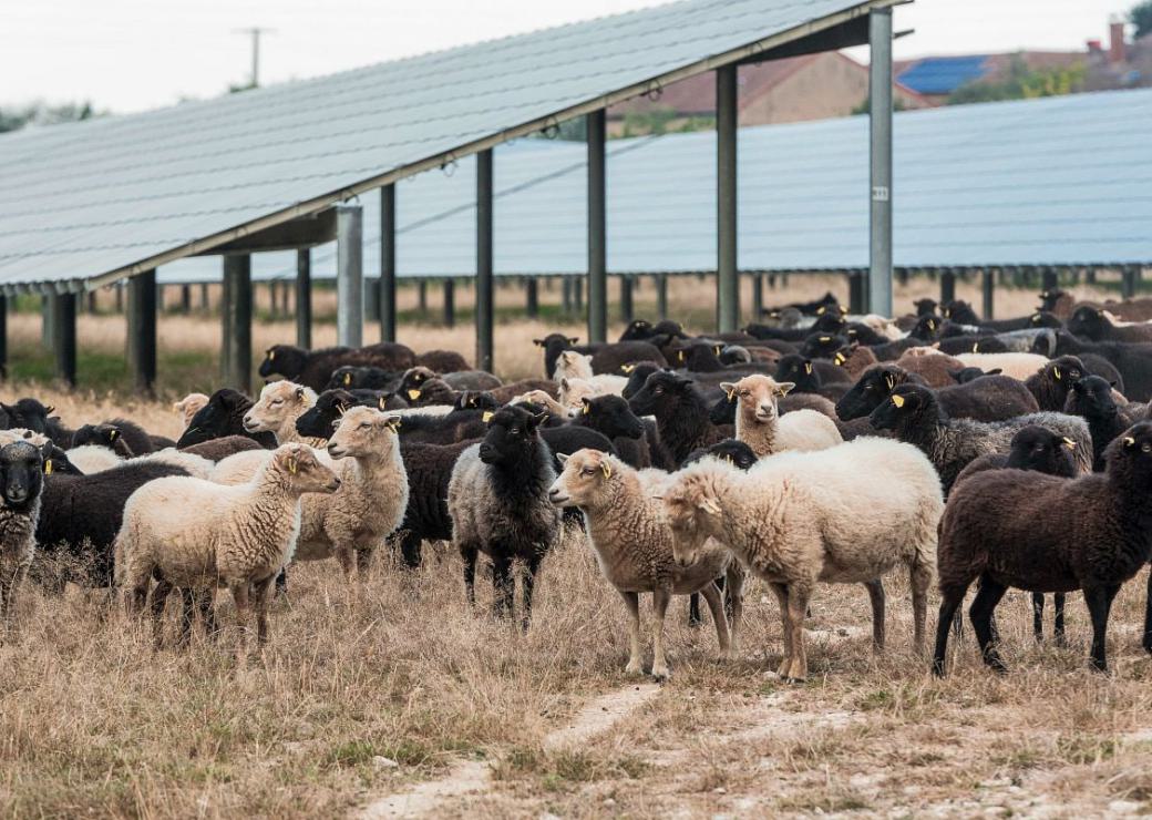 Sécuriser les projets photovoltaïque agricole avec la consignation