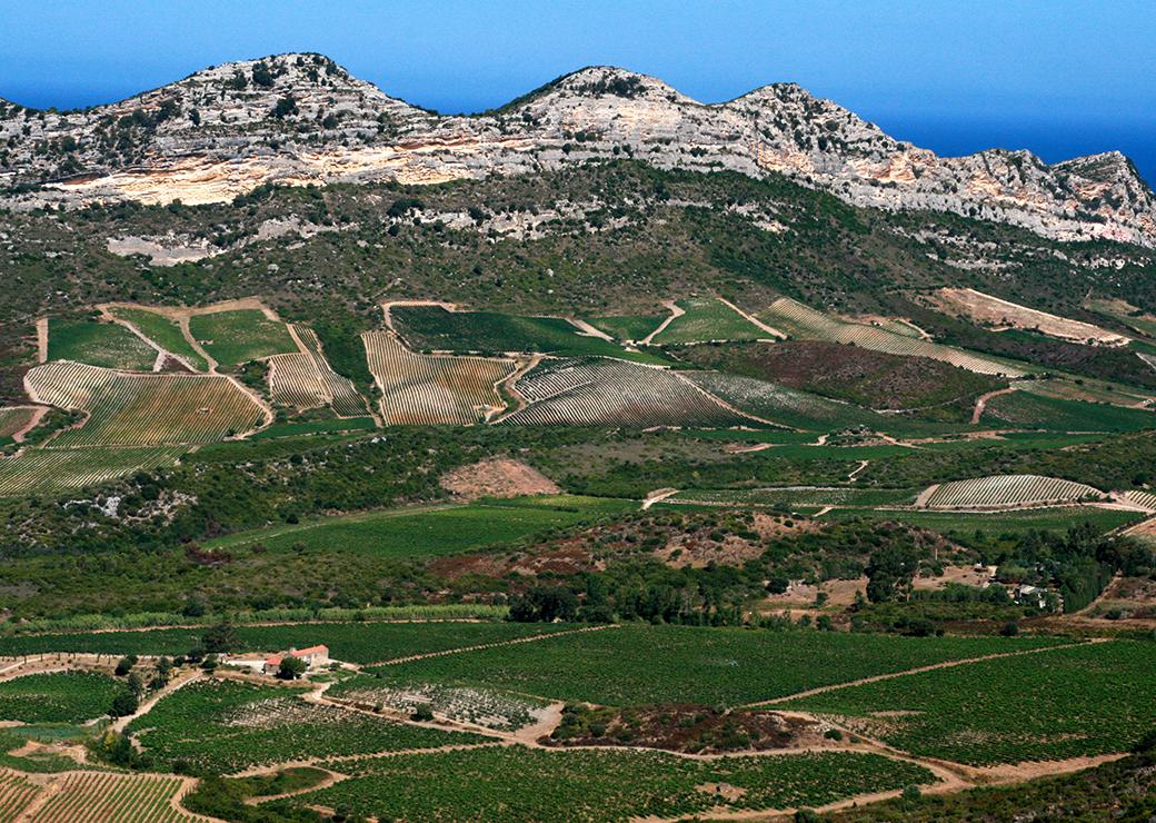 parcelles en Corse