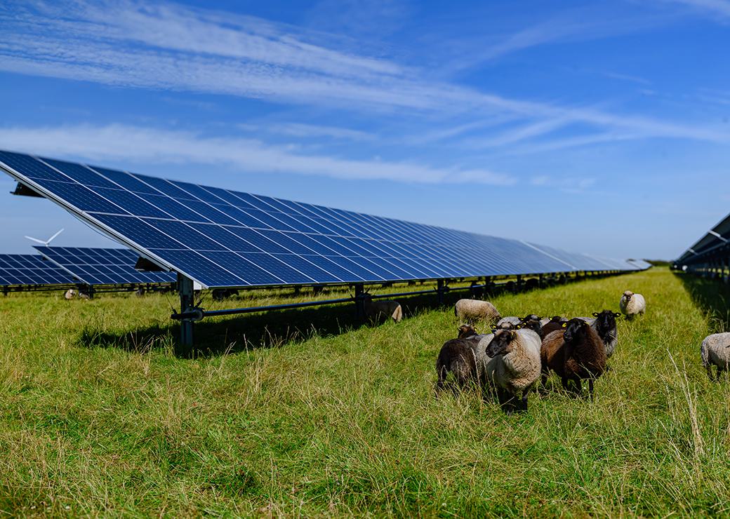 panneaux solaires dans un champ