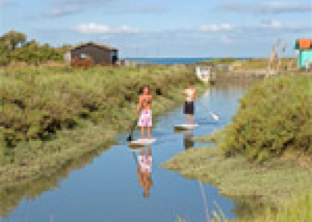 stand up paddle