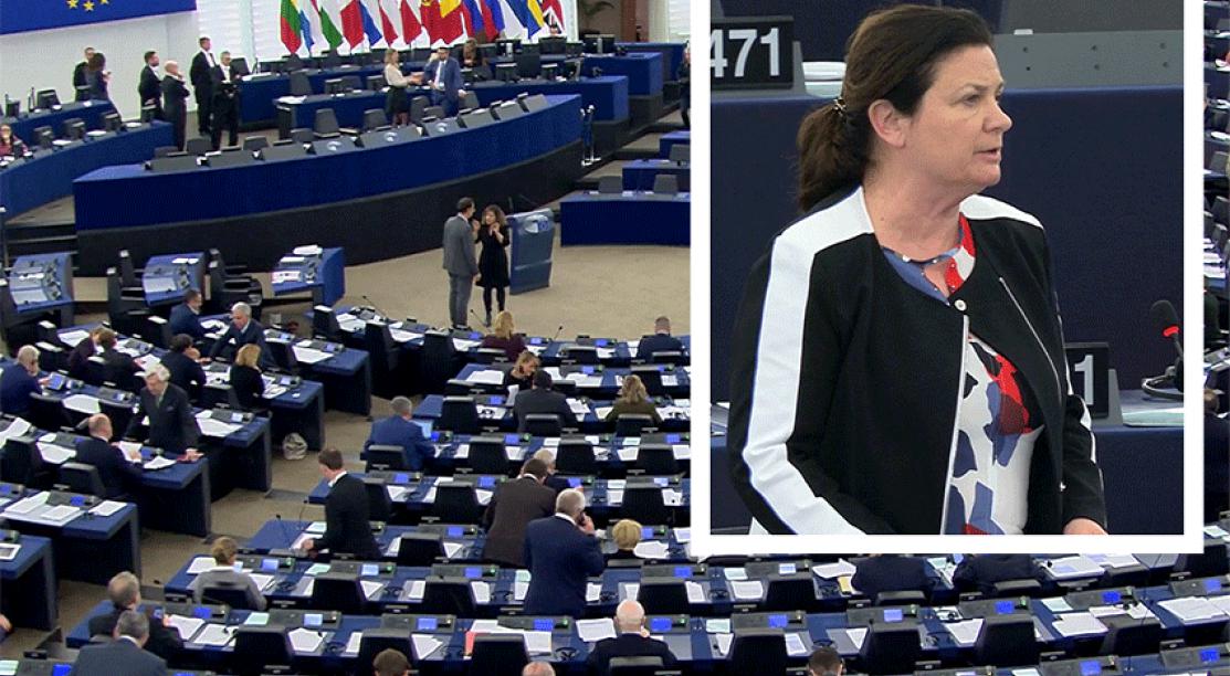 La plénière du parlement européen du 13 février ; en gros plan, Constanze Krehl