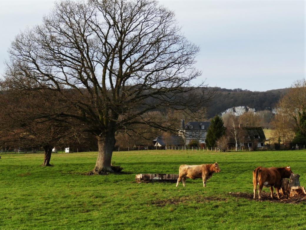 paysage de campagne 