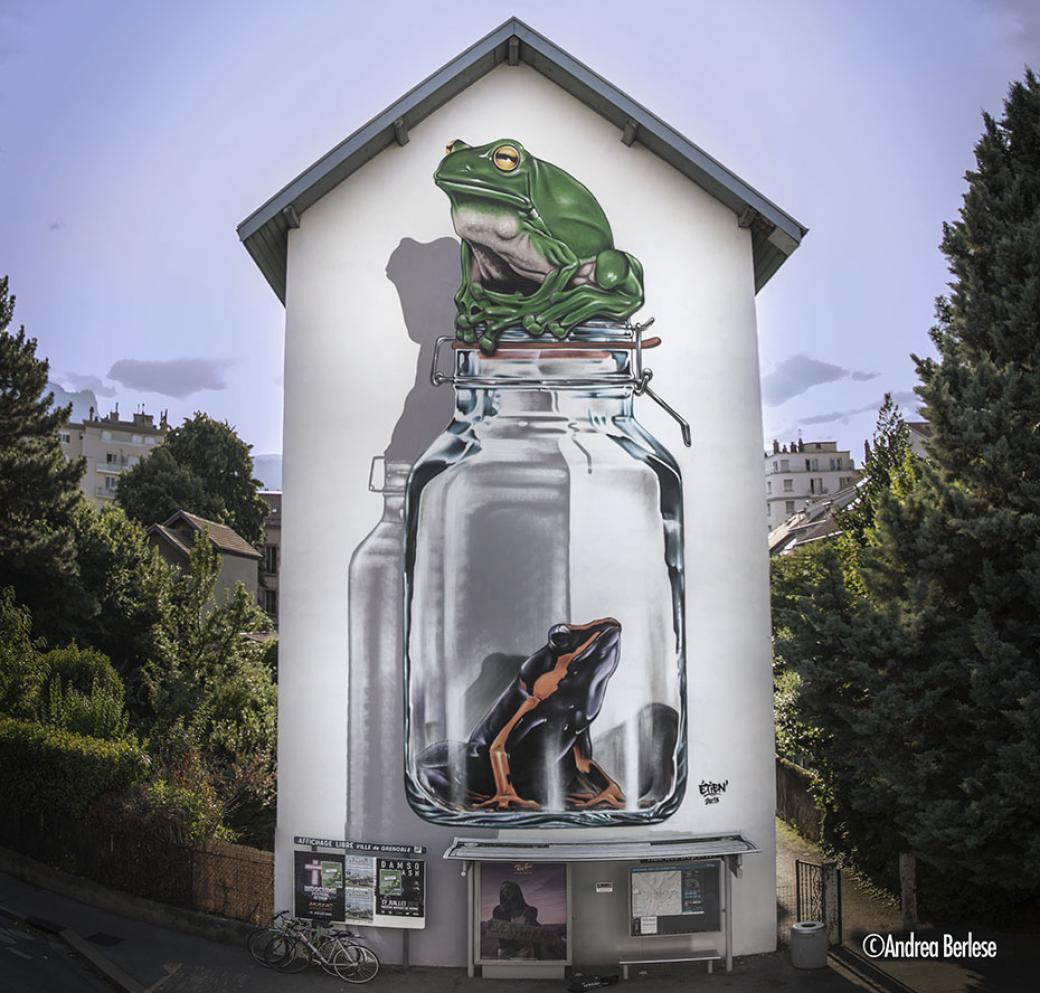 Street Art Fest Grenoble Alpes