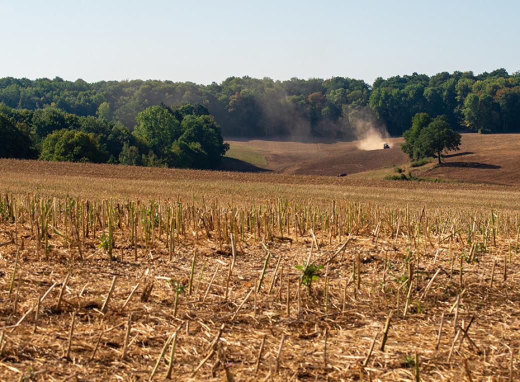 Sécheresse Agriculture, le travail de la terre en été, département Meuse, région Grand Est, France