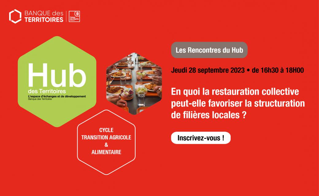 restauration collective