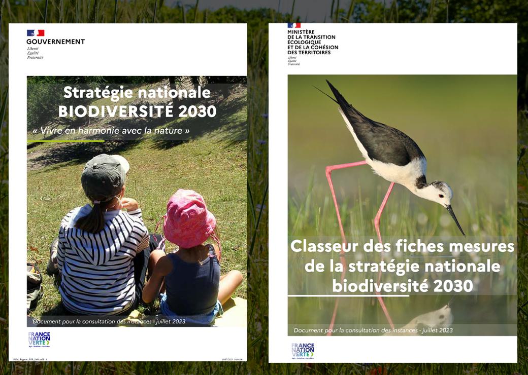 Biodiversité 