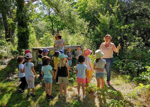 Image décorative, une classe d'enfants assiste à un atelier pour préserver sur la biodiversité en pleine nature