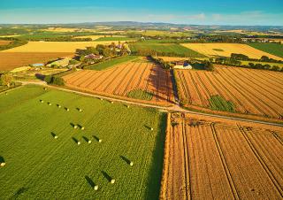 vue aérienne de terres agricoles