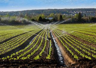 irrigation de champs