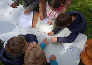 Vue d'en haut, des enfants manipulent des herbes et des graines sur une table