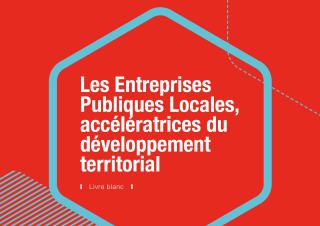 Banque Des Territoires - livre blanc économie mixte